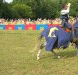 Activités sportives et culturelles