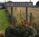 Dentistes
