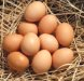 VENTE DIRECT A LA FERME