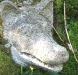 Légendes, patrimoine historique et naturel