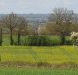 Procès-verbaux des conseils communautaires