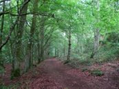Chemins de randonnée « Des Gardes et des Combes de la Cazine »