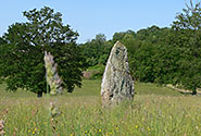 Le menhir de la Pierre-Berce {JPEG}