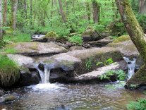 Chemins de randonnée « Des Gardes et des Combes de la Cazine »