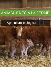 FERME DES RATERIES
