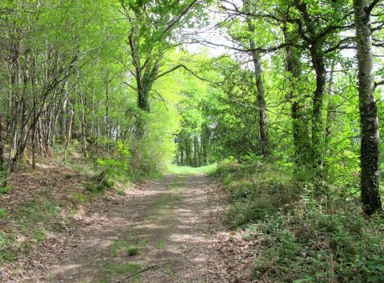 Découvrir notre commune