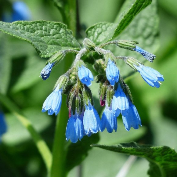 Commerces - Artisanat - Entreprises