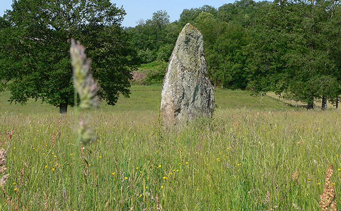 photo de Album photo (diaporama)