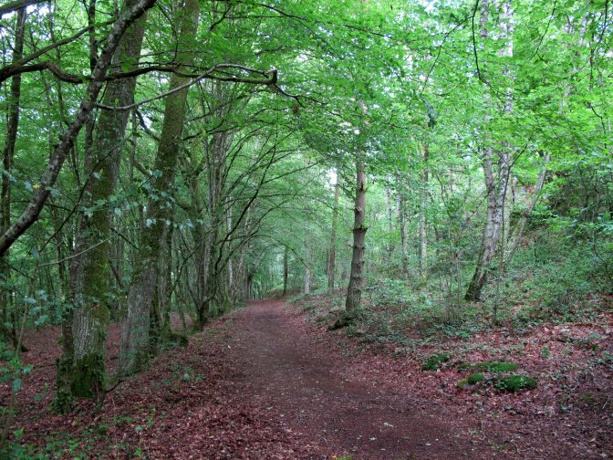 Chemins de randonnée