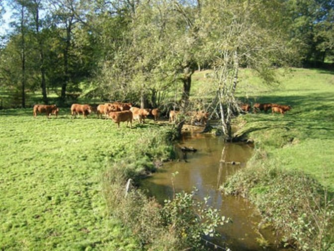 Découvrir notre Commune